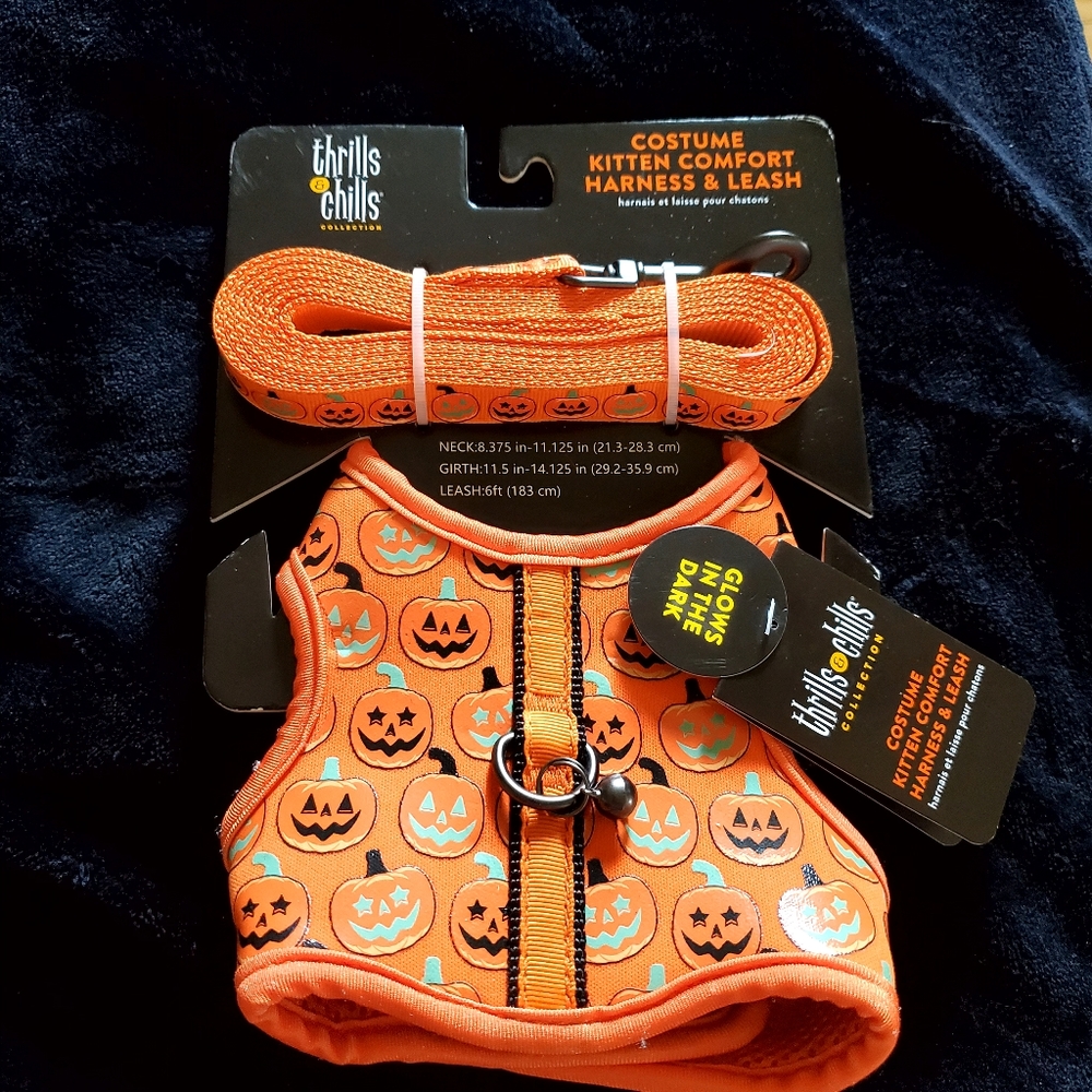 🎃🎃🎃Orange Pumpkin Kitten Costume Harness & Leash